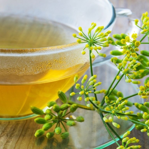 Fennel Tea