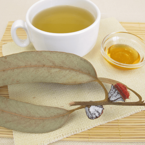 Eucalyptus Tea